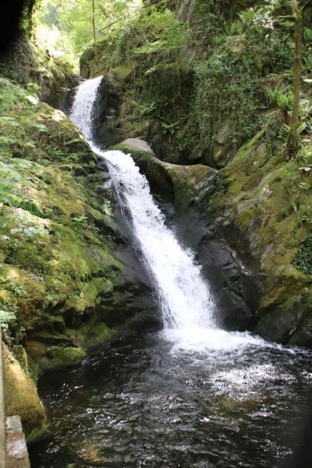 Garn Lodge นิวทาวน์ ภายนอก รูปภาพ