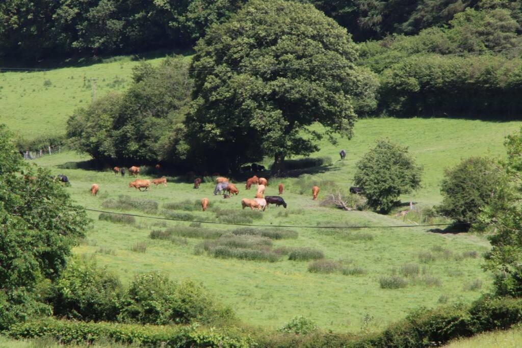 Garn Lodge นิวทาวน์ ภายนอก รูปภาพ